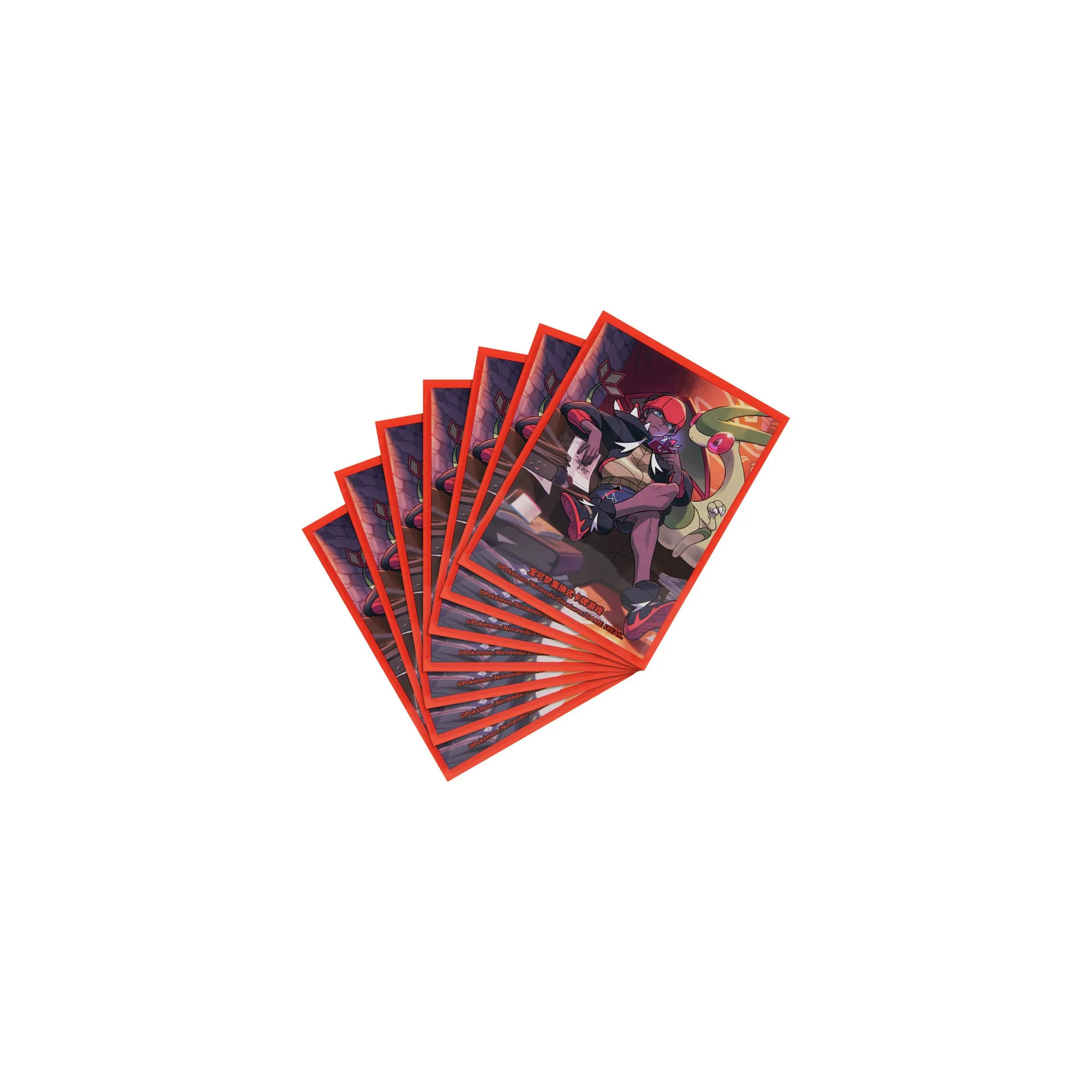 Trainer Collection Gift Box - Image 10